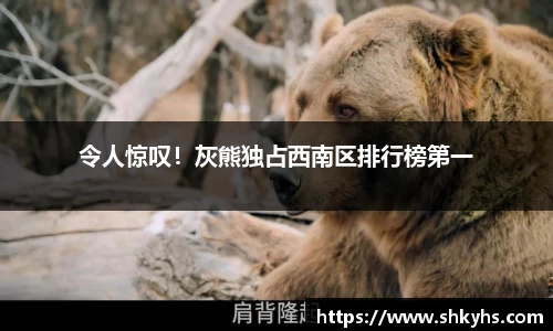 令人惊叹！灰熊独占西南区排行榜第一