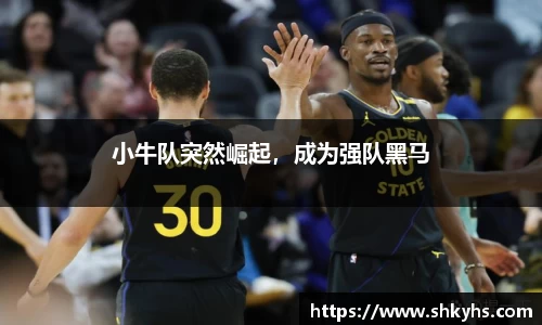小牛队突然崛起，成为强队黑马